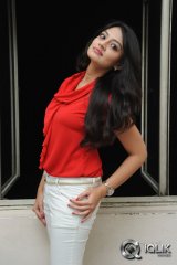 Nikitha Narayan at Ladies and Gentlemen Movie First Look Launch